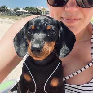 Meet your Posher, Jill